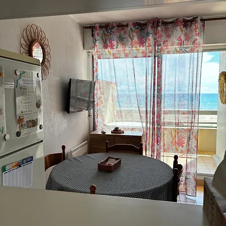 Studio Climatise Face A La Mer, Terrasse Et Parking