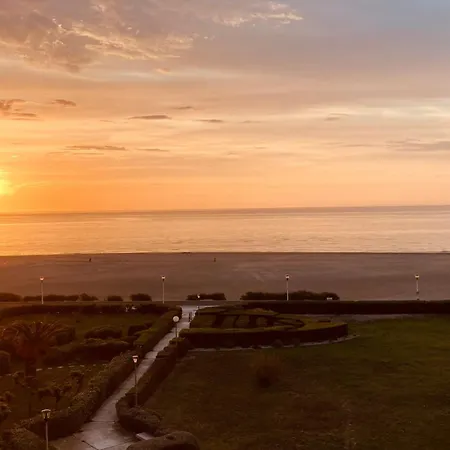 Studio Climatise Face A La Mer, Terrasse Et Parking Lejlighed