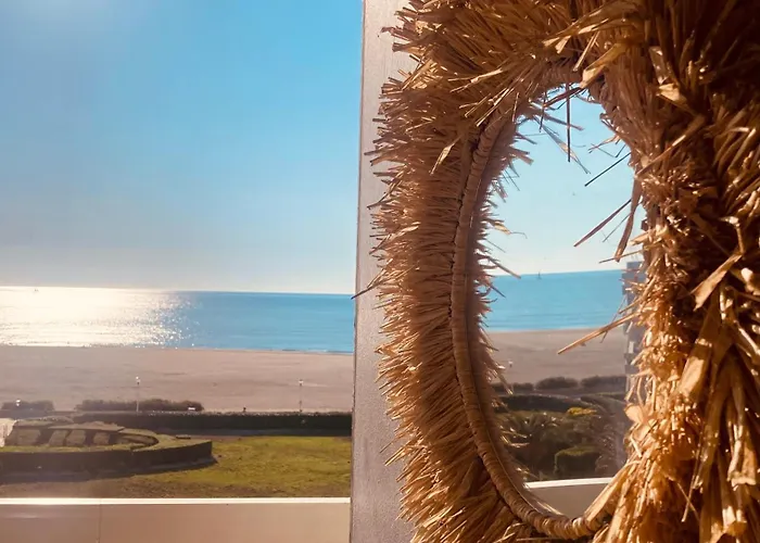 Studio Climatise Face A La Mer, Terrasse Et Parking Daire Canet-en-Roussillon