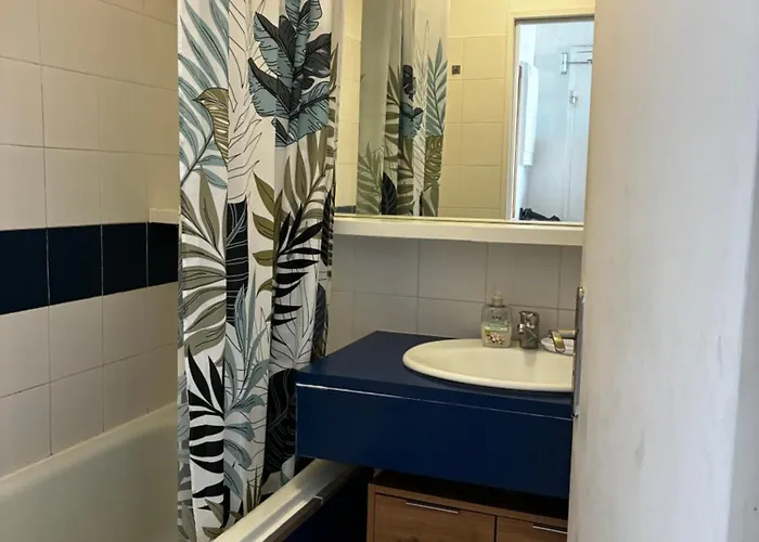 Daire Studio Climatise Face A La Mer, Terrasse Et Parking Canet-en-Roussillon