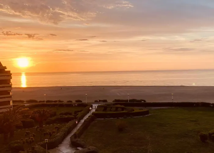 Studio Climatise Face A La Mer, Terrasse Et Parking Daire